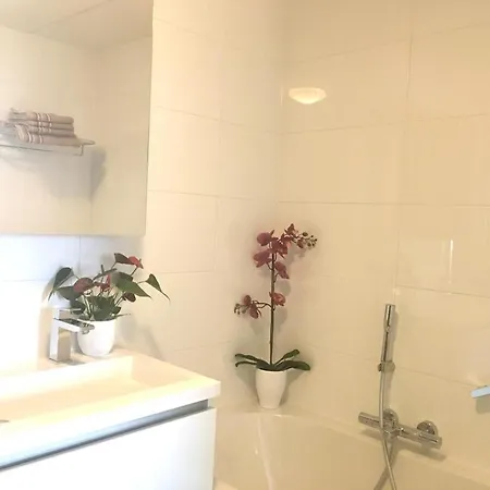 홈스테이 The First Floor 4 Persons, 2 Bedrooms, Free Parking! 잔드보르트